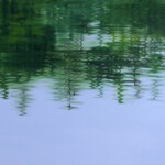 knyihár-amarilla-bajai_víztükör-7