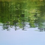 knyihár-amarilla-water-reflection_in_Baja-4